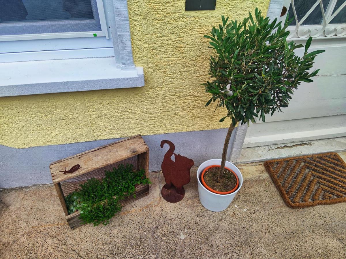 Apartment Jette Stegen Екстериор снимка